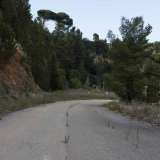 Mentre cerchiamo di capire come scendere, si accosta a noi il 52enne Francesco, guardiano dell�area, che ci indica la strada da percorrere, dopo averci dato il permesso di arrivare fin gi�. Proseguiamo cos� su via Cesare Battisti per altri 700 metri e passiamo al di sotto di un piccolo cavalcavia, fino a incontrare sulla sinistra uno stretto sentiero. Lo imbocchiamo